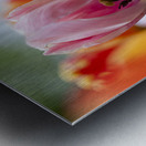 SBP5727 Impression metal