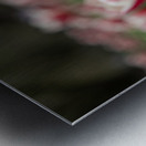 SBP6643 Impression metal