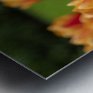 SBP5574 Impression metal