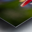 SBP5569 Impression metal