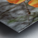 SBP8316 Impression metal