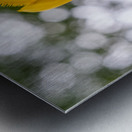 SBP5699 Impression metal