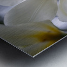 SBP5705 Impression metal