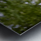 SBP5721 Impression metal