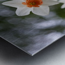 SBP5823 Impression metal