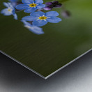 Never Forget Metal print