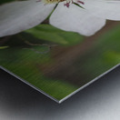 Hidden Beauty Metal print