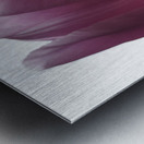 Pink Tulips Impression metal