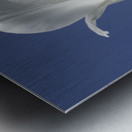 White Tulip Blue Sky Metal print