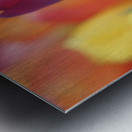 Colorful Metal print