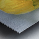 Lollipop Metal print