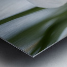 New Beginnings Metal print