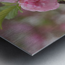 Pink Beauties Metal print