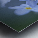 Ladies In Blue Metal print