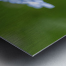 Small World Metal print