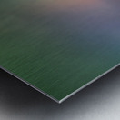 Delicate Beauty Metal print