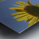 From Below Metal print