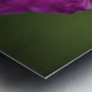 The Heart Of It Metal print