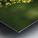 Ringlets Metal print