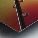 Experiment Metal print