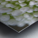 Another World Metal print