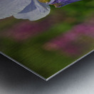 Violet Blue One Metal print