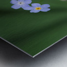 Small Universe Metal print