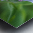 Little Bells Metal print