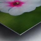 Bright Eyes Metal print