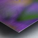 Day Dream Metal print