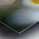 Life Is Strange Metal print