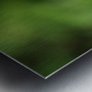 Yellow Bud Metal print