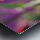 Purple Coneflower Metal print