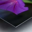 Shine Bright Metal print