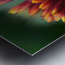 Firewheel Metal print