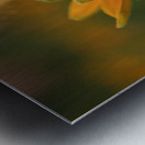 Another Day Metal print