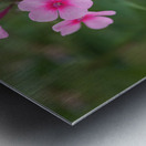 Morning Beauties Metal print