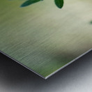 This Way Metal print