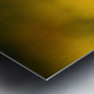 Fragile Beauty Metal print