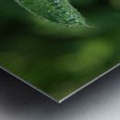 Droplets Metal print