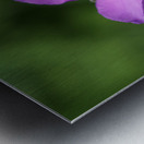 Visitor Impression metal