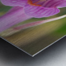 Dear Little One Metal print