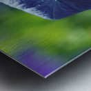 Coin coin Metal print