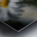 Marguerites Impression metal