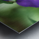 Bluejacket Metal print