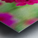 Valley Red Metal print