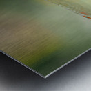 Dragonfly Metal print