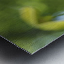 Golden Tiara Metal print