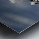 Frosted Twig Metal print