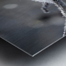 Frozen Wild Berry Metal print